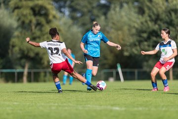 Bild 208 - wBJ VfL Pinneberg - Hamburger SV 2 : Ergebnis: 1:3